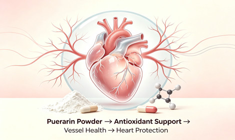 How Puerarin Powder Supports Cardiovascular Health Formulas